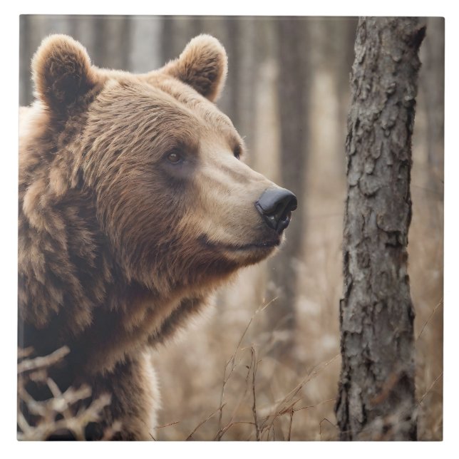 Azulejo Hermoso oso retrato de oso pardo oso 3a (Frente)