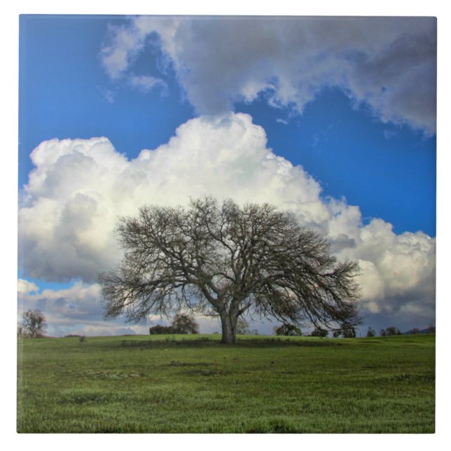 Azulejo Hermoso roble con naturaleza nublada (Frente)