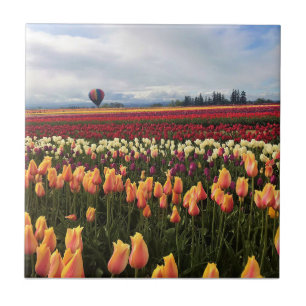 Azulejo Hermoso Tulip Field con globo de aire caliente, Or