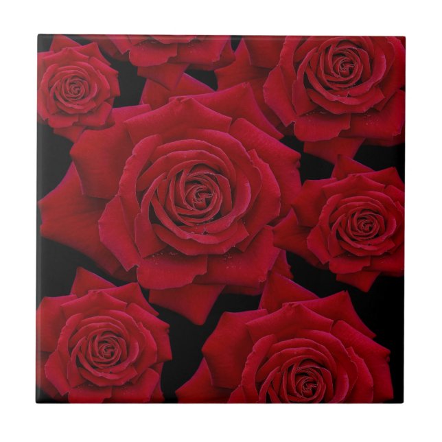 Azulejo Hermoso y elegante patrón de flor rosa rojo (Frente)