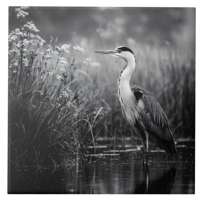 Azulejo Heron in the Marsh Black and White (Frente)
