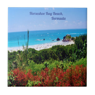 Azulejo Herradura, Bay Beach, Bermudas