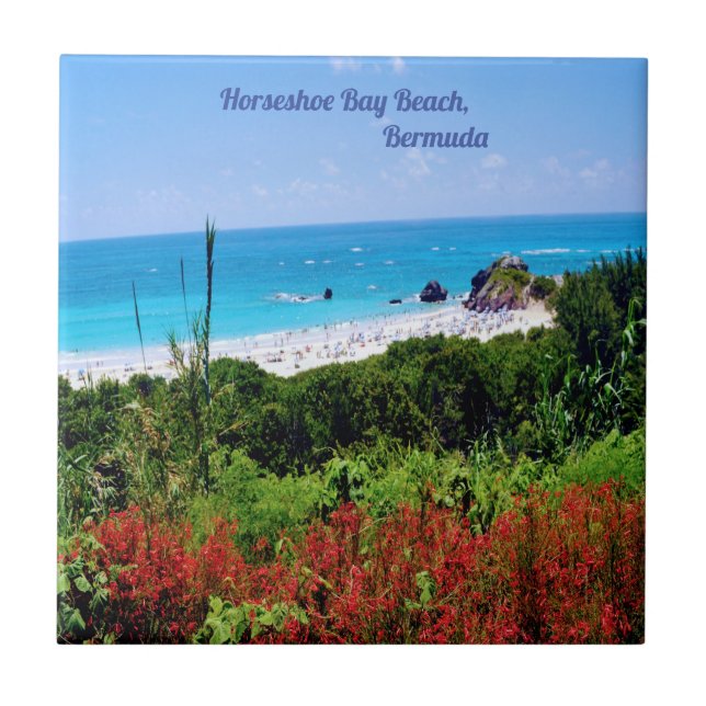 Azulejo Herradura, Bay Beach, Bermudas (Frente)