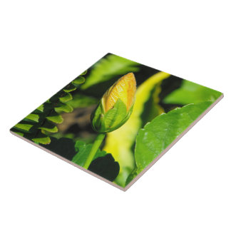 Azulejo Hibiscus Flower Bud