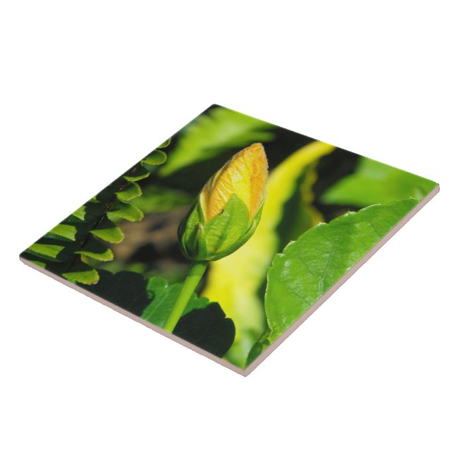 Azulejo Hibiscus Flower Bud (Lado)