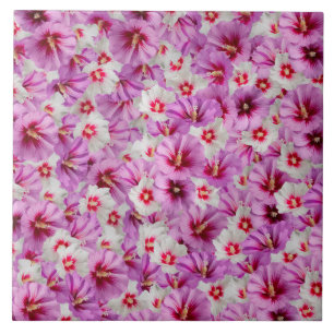 Azulejo Hibiscus - Patrón de flor Rosa chino