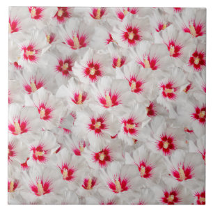 Azulejo Hibiscus - Patrón de flor Rosa chino