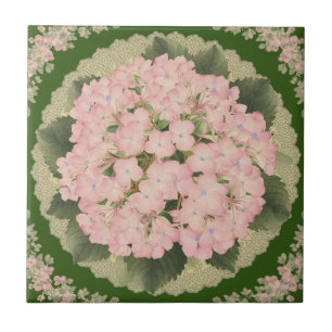 Azulejo Hidrangea rosa Blooms Flor Cerámica Tile