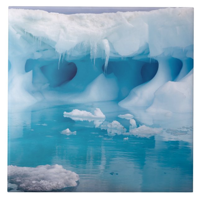 Azulejo Hielo en la Antártida (Frente)