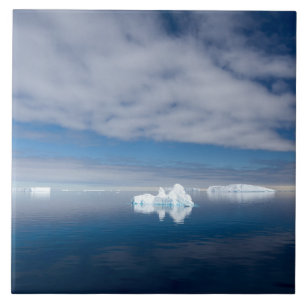 Azulejo Hielo flotante en la Antártida
