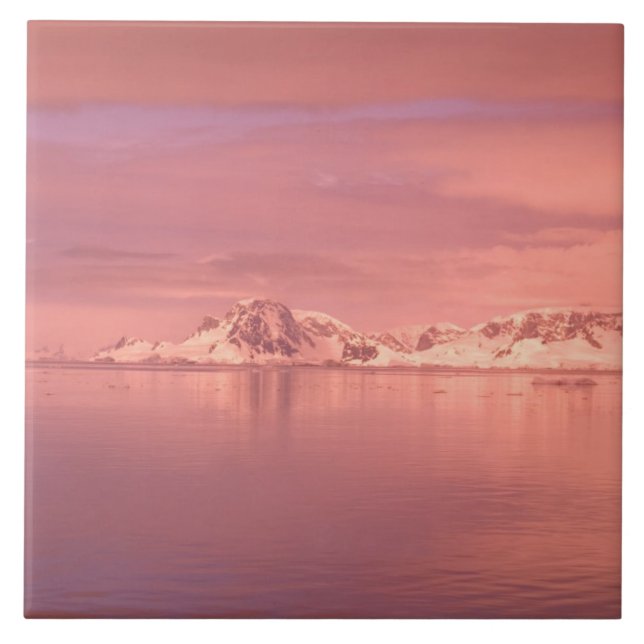 Azulejo Hielo, Nieve, Icebergs en los canales a lo largo d (Frente)