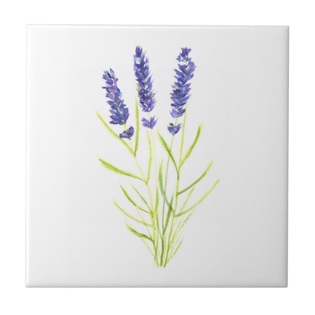 Azulejo Hierba de lavanda vegetación floral púrpura (Frente)
