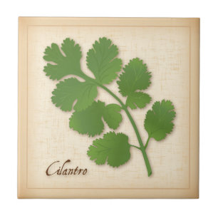 Azulejo Hierba del Cilantro
