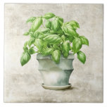 Azulejo Hierbas acuáticas Basil Textura de imitación rústi<br><div class="desc">Diseño gráfico de acuarela rústica de albahaca en una olla de campo. Una mirada vintage. Perfecto para su cocina de campo francesa o casa de campo.</div>
