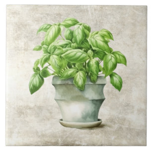 Azulejo Hierbas acuáticas Basil Textura de imitación rústi