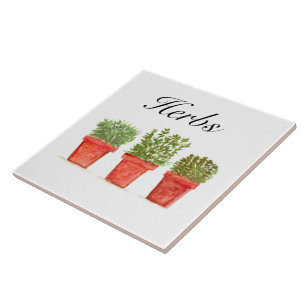 Azulejo Hierbas acuáticas Thyme Rosemary Oregano Planta Po