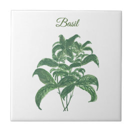 Azulejo Hierbas de Basil Verdor Cocina Planta Verde