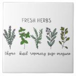 Azulejo Hierbas frescas Thyme Basil Farmhouse<br><div class="desc">Hierbas frescas como tomillo,  albahaca,  salvia,  romero y orégano sobre un sencillo fondo blanco. Se utilizó una simple acuarela para hacer esta cerámica de granja.</div>