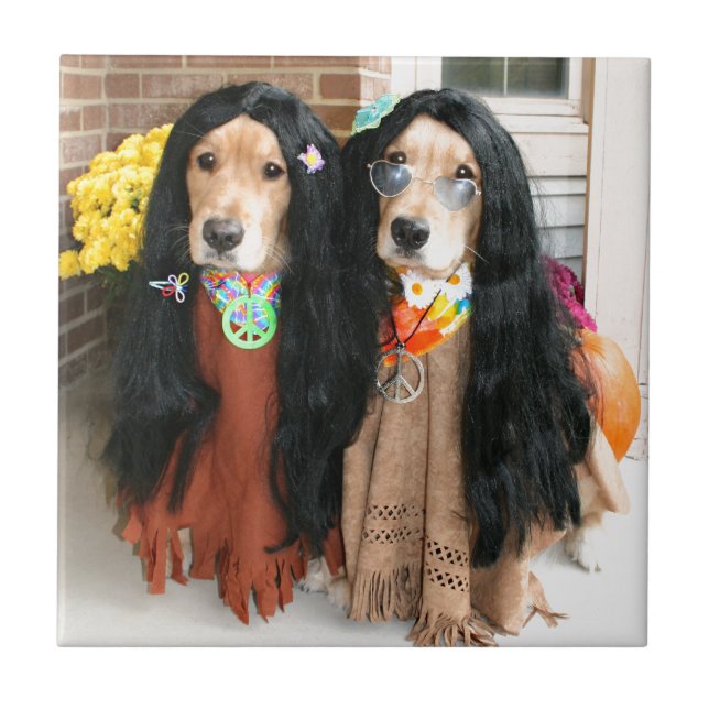 Azulejo Hippie de Halloween del golden retriever (Frente)