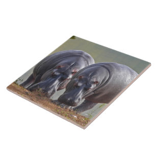 Azulejo Hippos