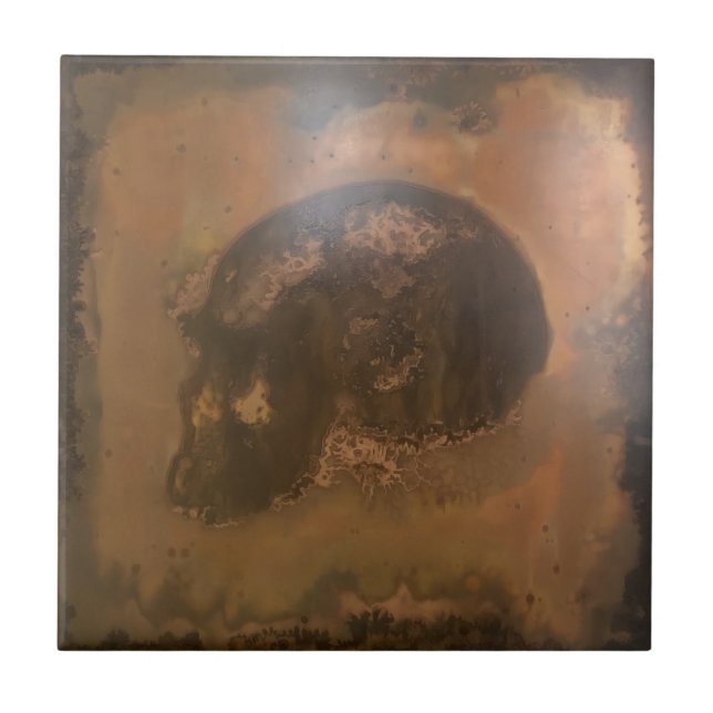 Azulejo Hogar y Vida > Decoración del hogar > Acentos para (Frente)