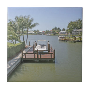 Azulejo Hogares y muelles en el canal Marco Island Florida
