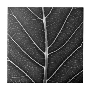 Azulejo Hoja brillante en blanco y negro en primer plano