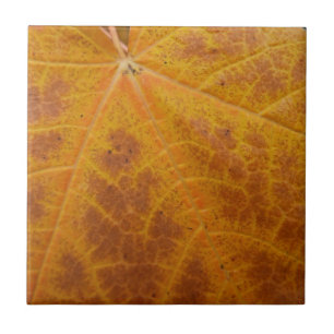 Azulejo Hoja de Arce Amarillo Otoño Abstracto Naturaleza