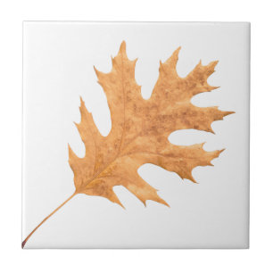 Azulejo Hoja de otoño