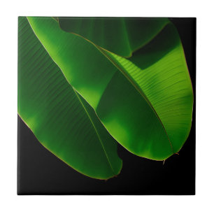 Azulejo Hoja de plátano verde vibrante tropical primer pla
