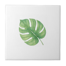 Hoja Gren de Monstera