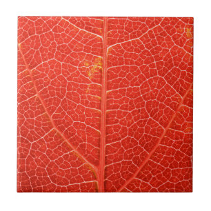 Azulejo Hoja otoñal