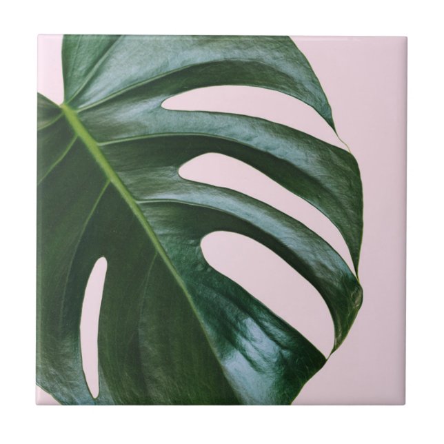 Azulejo Hoja tropical de Monstera (Frente)