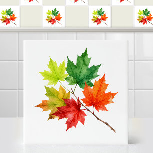 Azulejo Hojas de arce canadienses mixtas de temporada en a