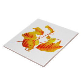 Azulejo Hojas de dogwood sobre mosaico cerámico