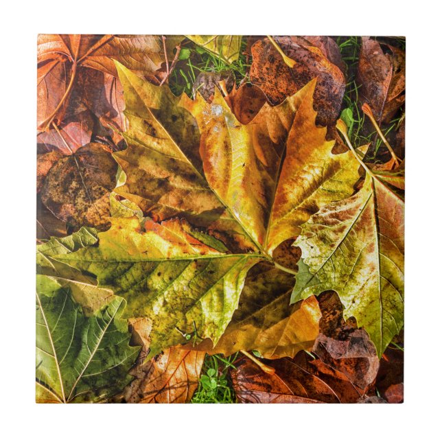 Azulejo Hojas de otoño (Frente)