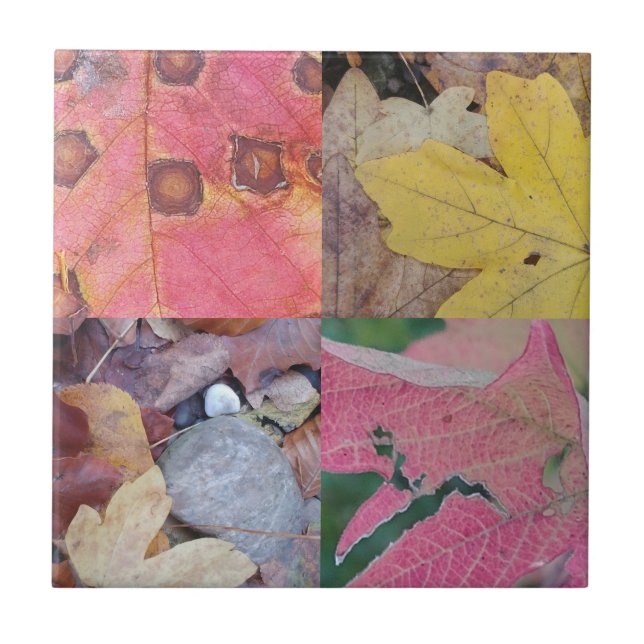 Azulejo Hojas de otoño (Frente)