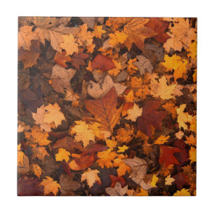 Azulejo Hojas de Otoño