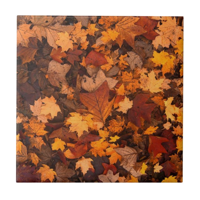 Azulejo Hojas de Otoño (Frente)