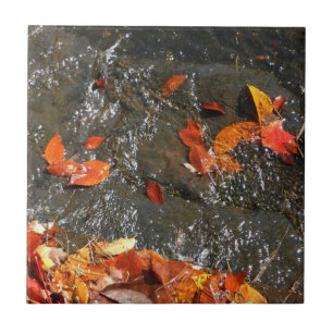 Azulejo Hojas de otoño en cascada I Fotografía de otoño