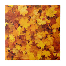 Hojas de otoño estacionales