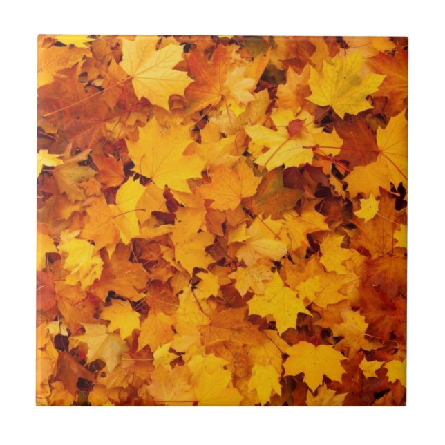 Azulejo Hojas de otoño estacionales (Frente)