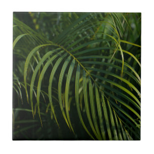 Azulejo Hojas de palma verdes oscuras