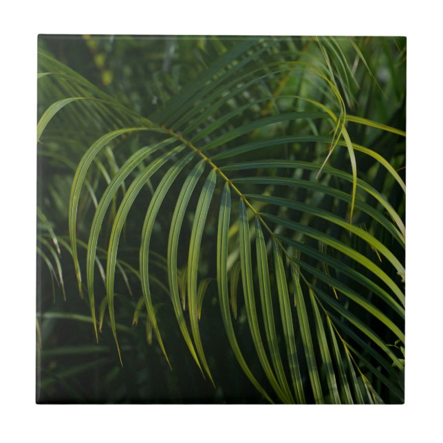 Azulejo Hojas de palma verdes oscuras (Frente)