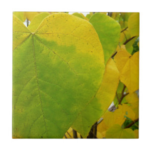 Azulejo Hojas de Redbud amarillas y verdes