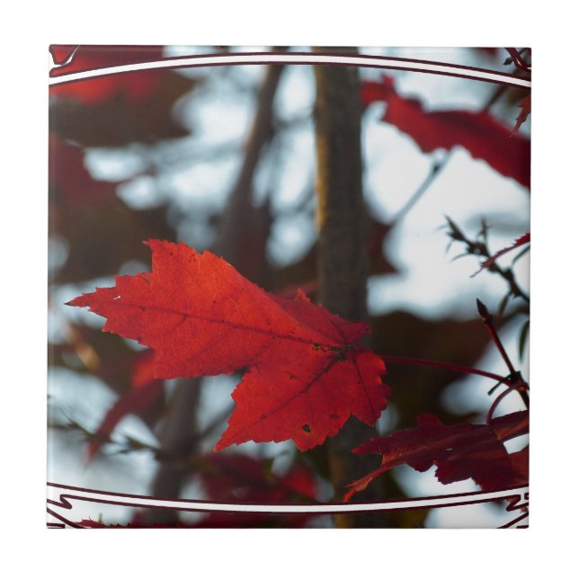 Azulejo Hojas de vacaciones (Frente)