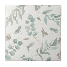 Hojas del eucalipto en fondo del beige de la