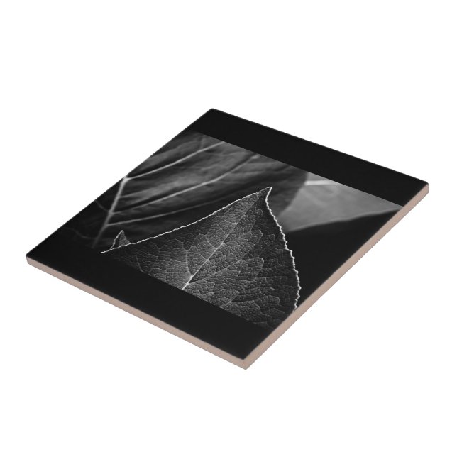 Azulejo hojas en curso (Lado)