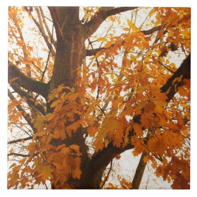 Azulejo Hojas otoñales (Frente)