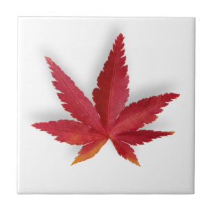 Azulejo Hojas rojas de otoño